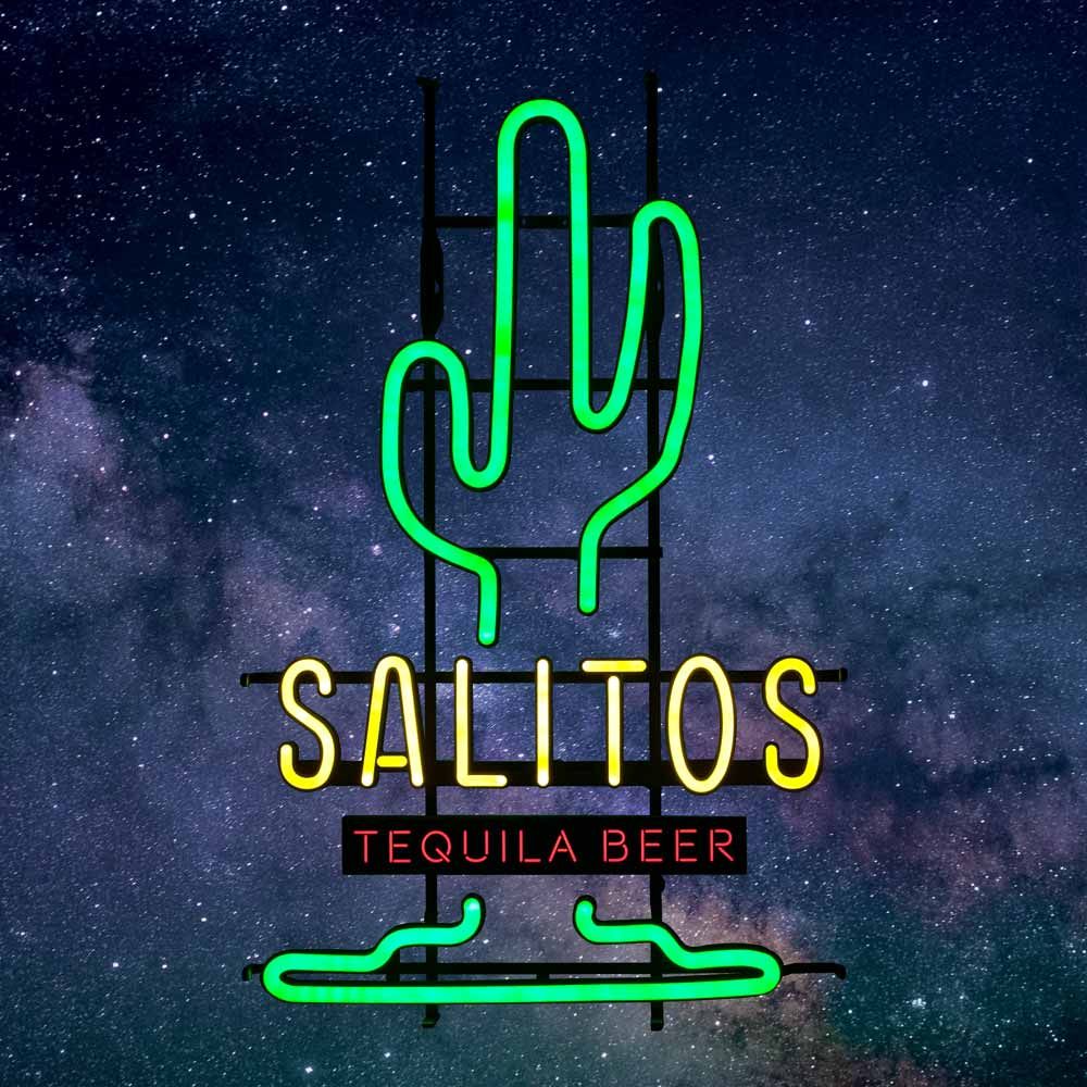 Salito LED Neon Sign Cactus Indoor Dimmable Display Decoration