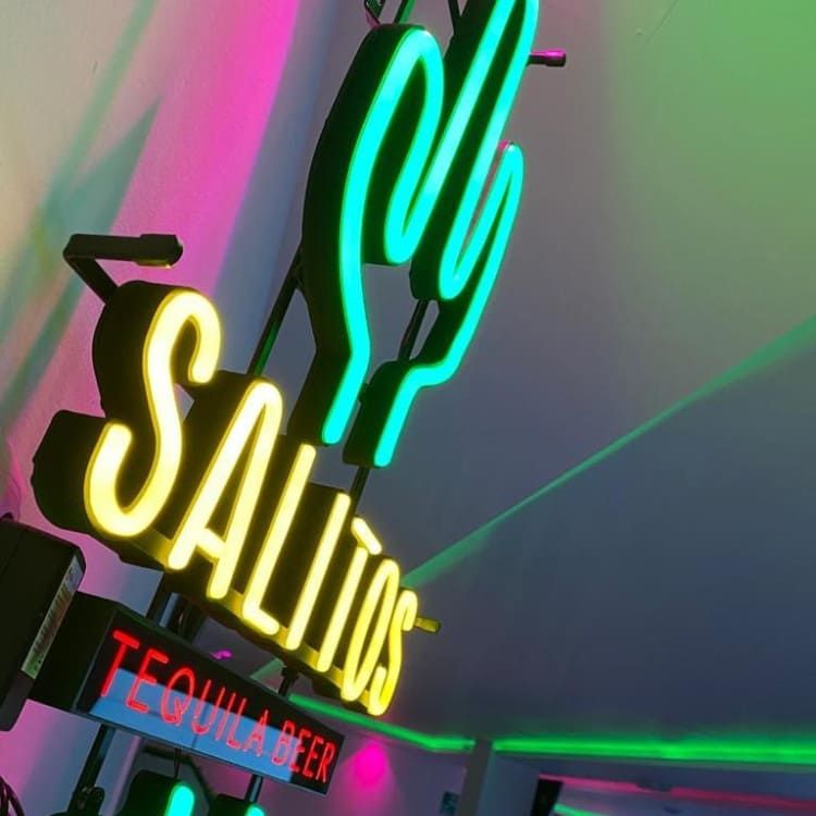Salito LED Neon Sign Cactus Indoor Dimmable Display Decoration – View 4