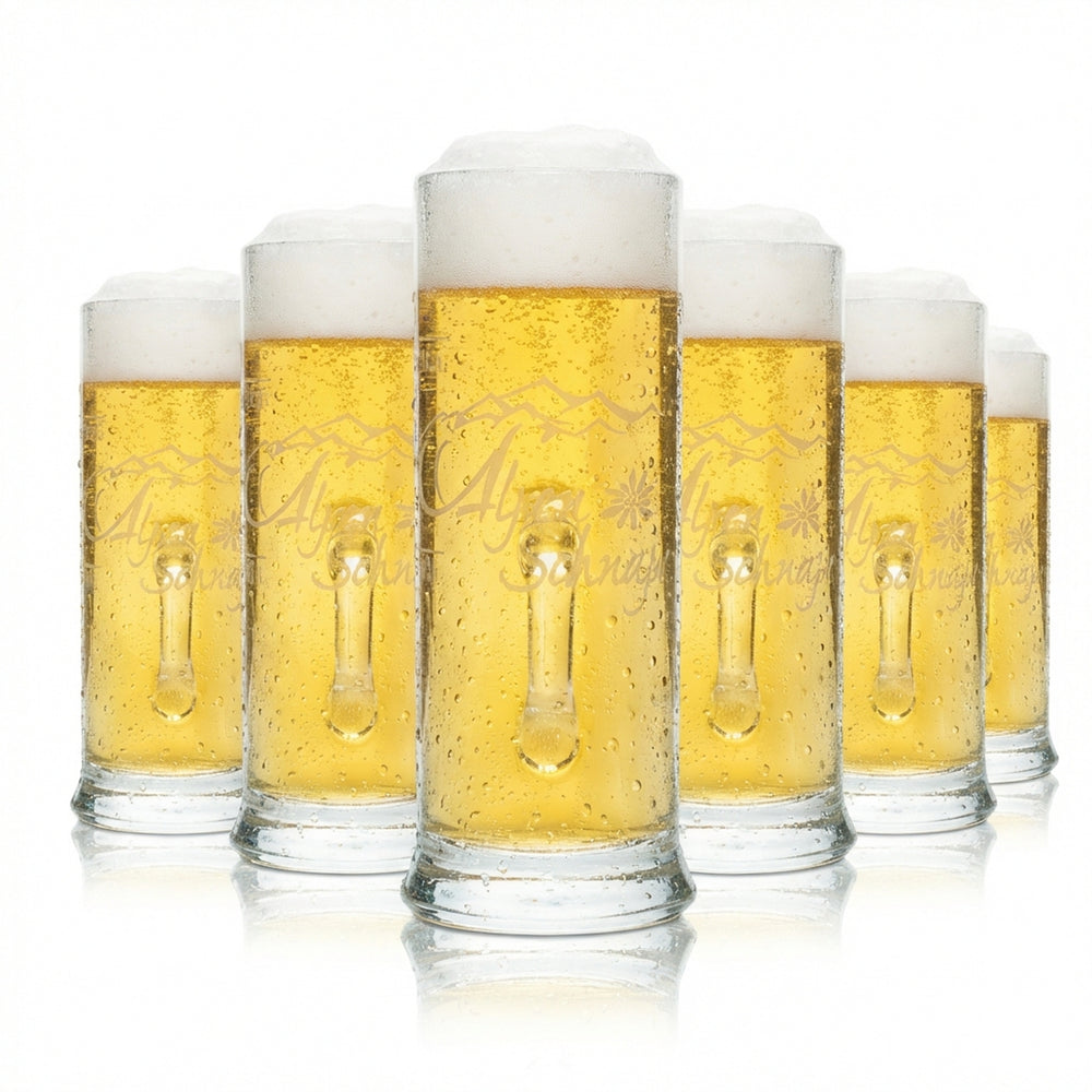 6x Alpenschnaps Steinbeisser Shot Glass 4cl Mini Mug The Elegant Handle Glasses