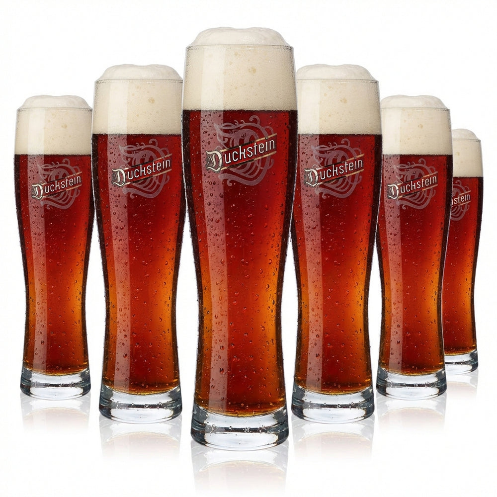 6x Duckstein beer glass 0.5l wheat beer glasses with silver rim