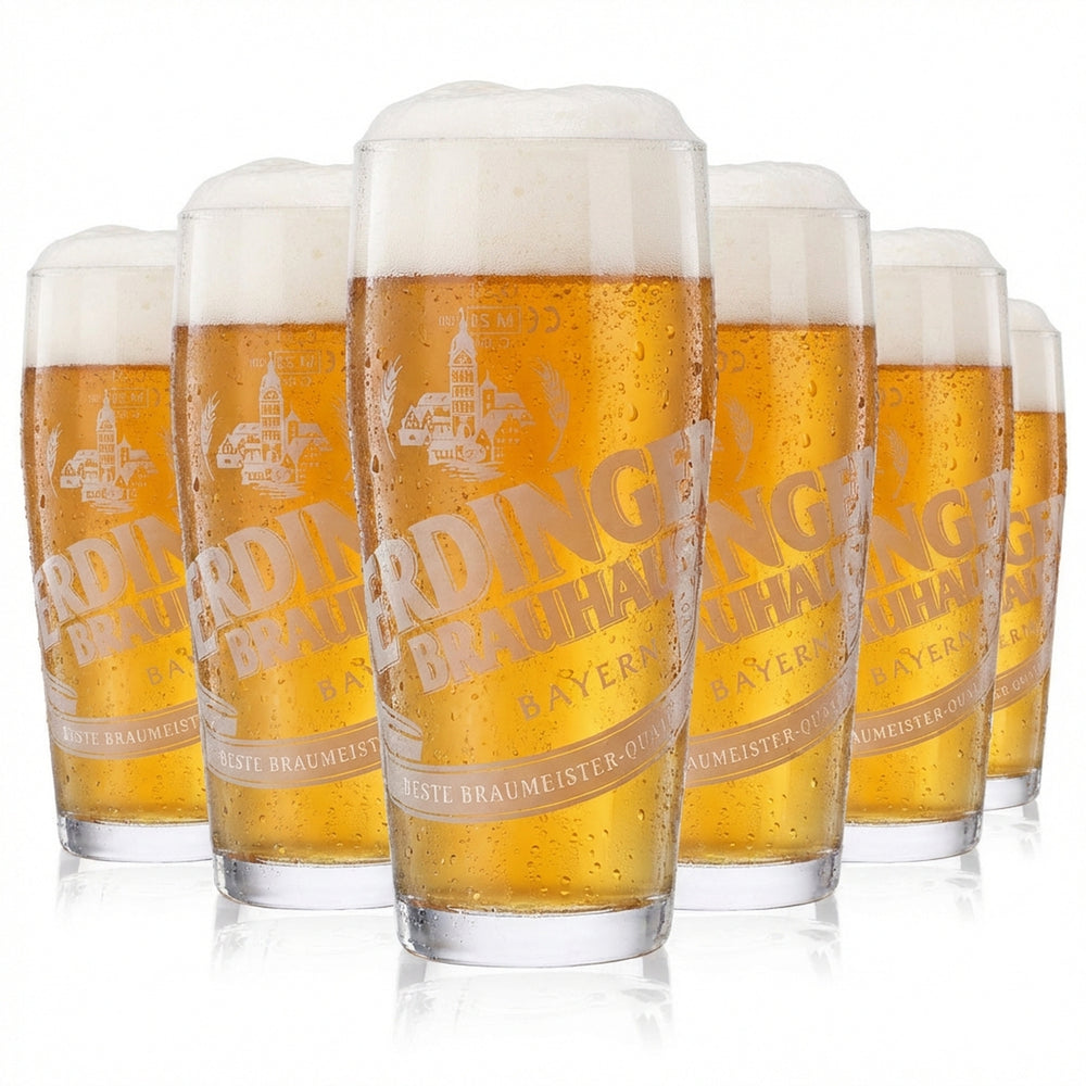 6x Erdinger Glass 0.3l Brewery Beer Willibecher Mug Glasses Beer Glass Weissbräu