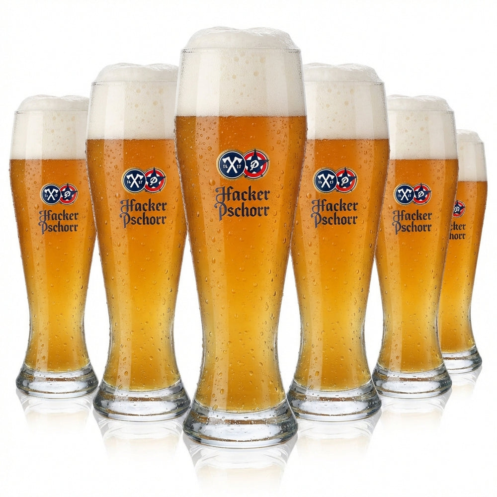 6x Hacker Pschorr Beer Glass 0.5l Wheat Beer Glass "Spitzingsee" Design Rastal