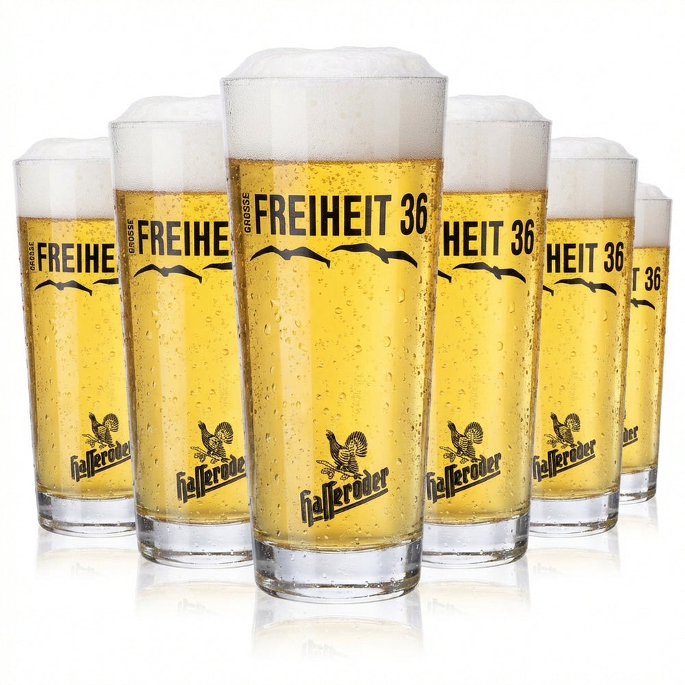 6x Hasseröder beer glasses Beer glass 0.3l Willibecher Große Freiheit 36