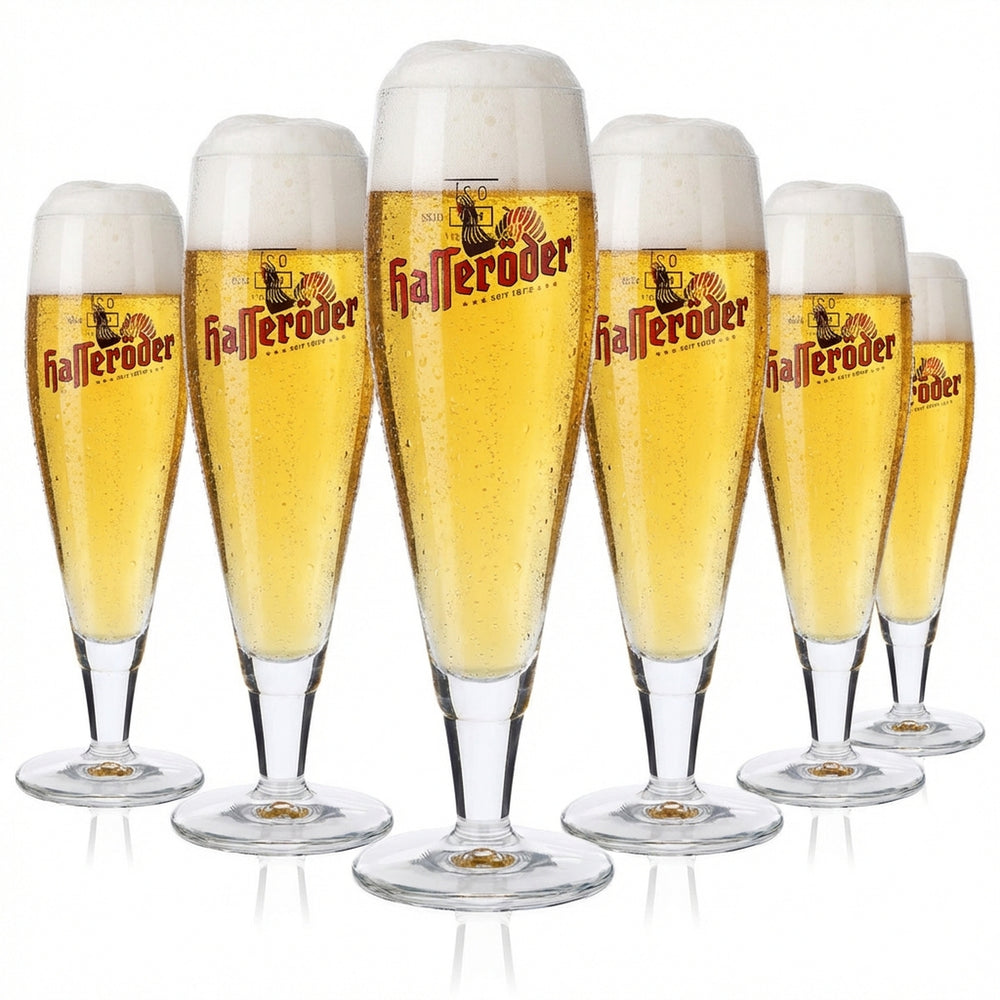 6x Hasseröder beer glasses, 0.2 l beer glasses, Ritzenhoff Alegro Pokal