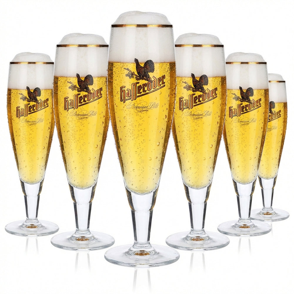 6x Hasseröder beer glass trophy glasses 0.2l gold rim Alegro trophy long Ritzenhoff