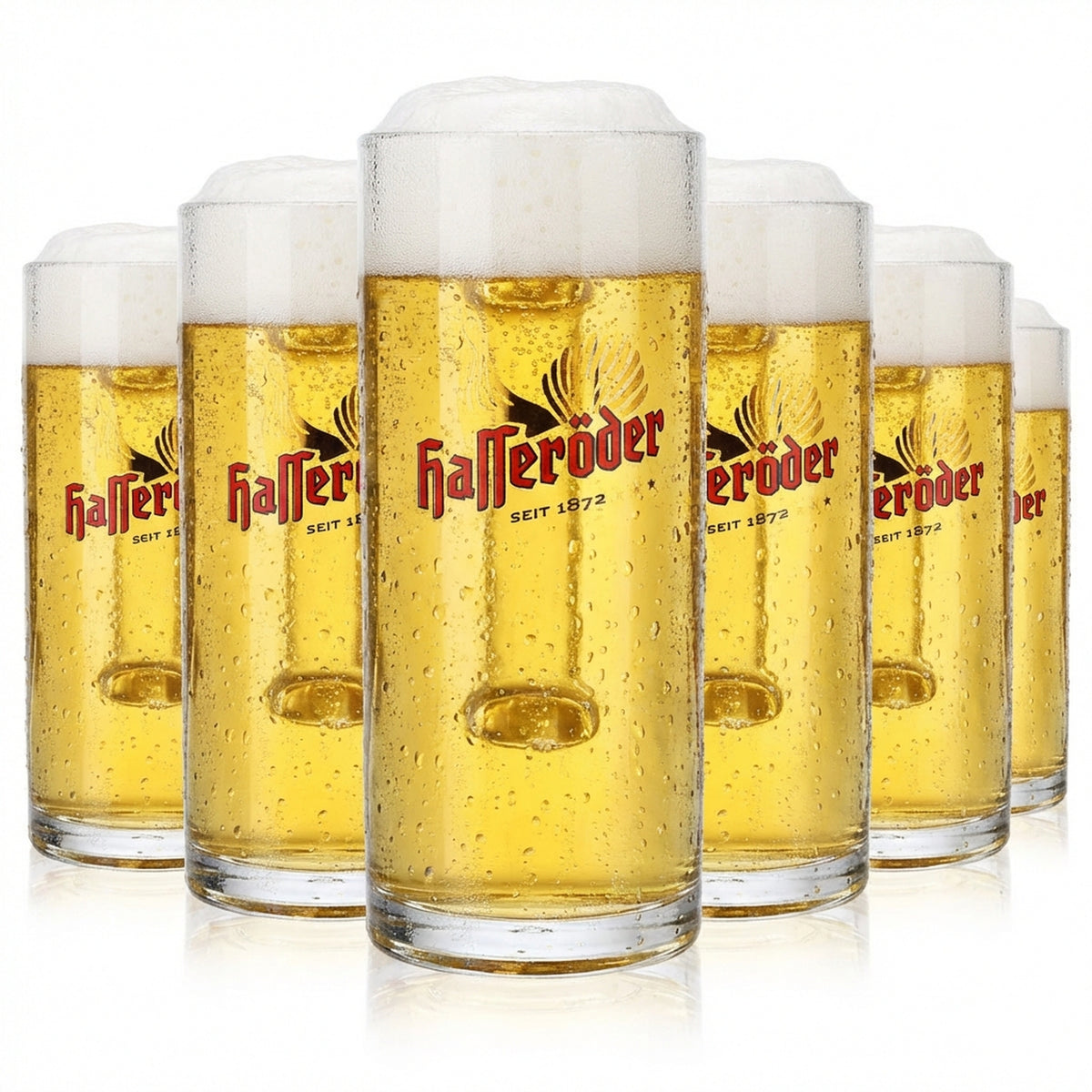 6x Hasseröder beer glass beer mug glasses tankard 0.3l jug Reno