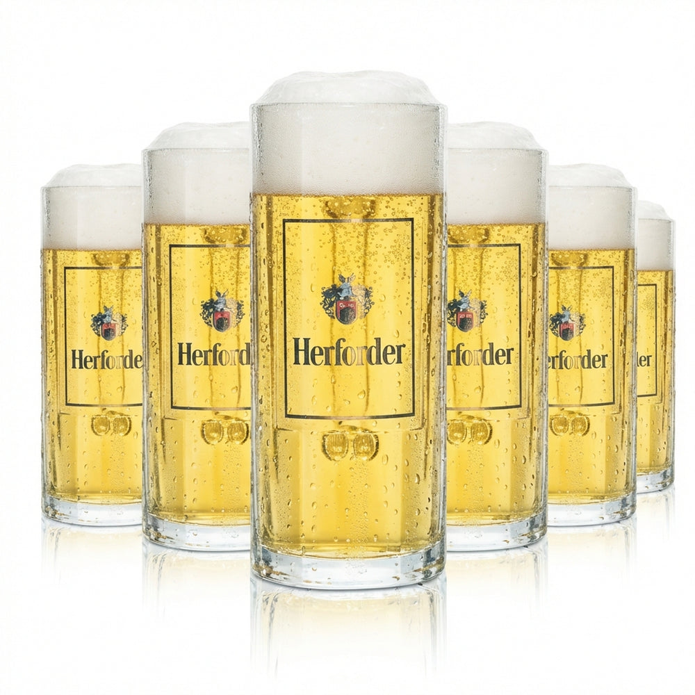 6x Herforder Pils beer glass 0.3l mug Wallenstein Sahm Seidel tankard glasses bar