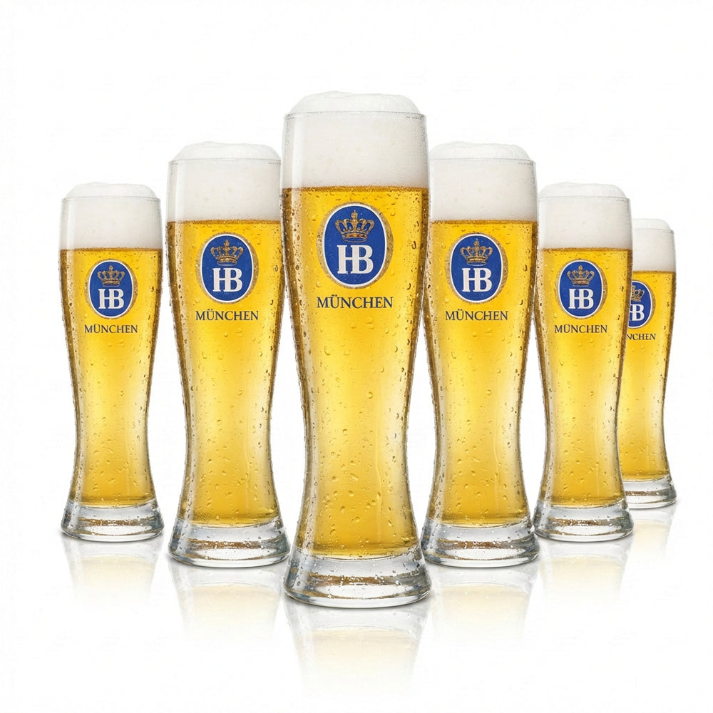 6x Hofbräu Munich Beer Glass 0.3l Wheat Beer Sahm HB Wheat Glasses Yeast Beer