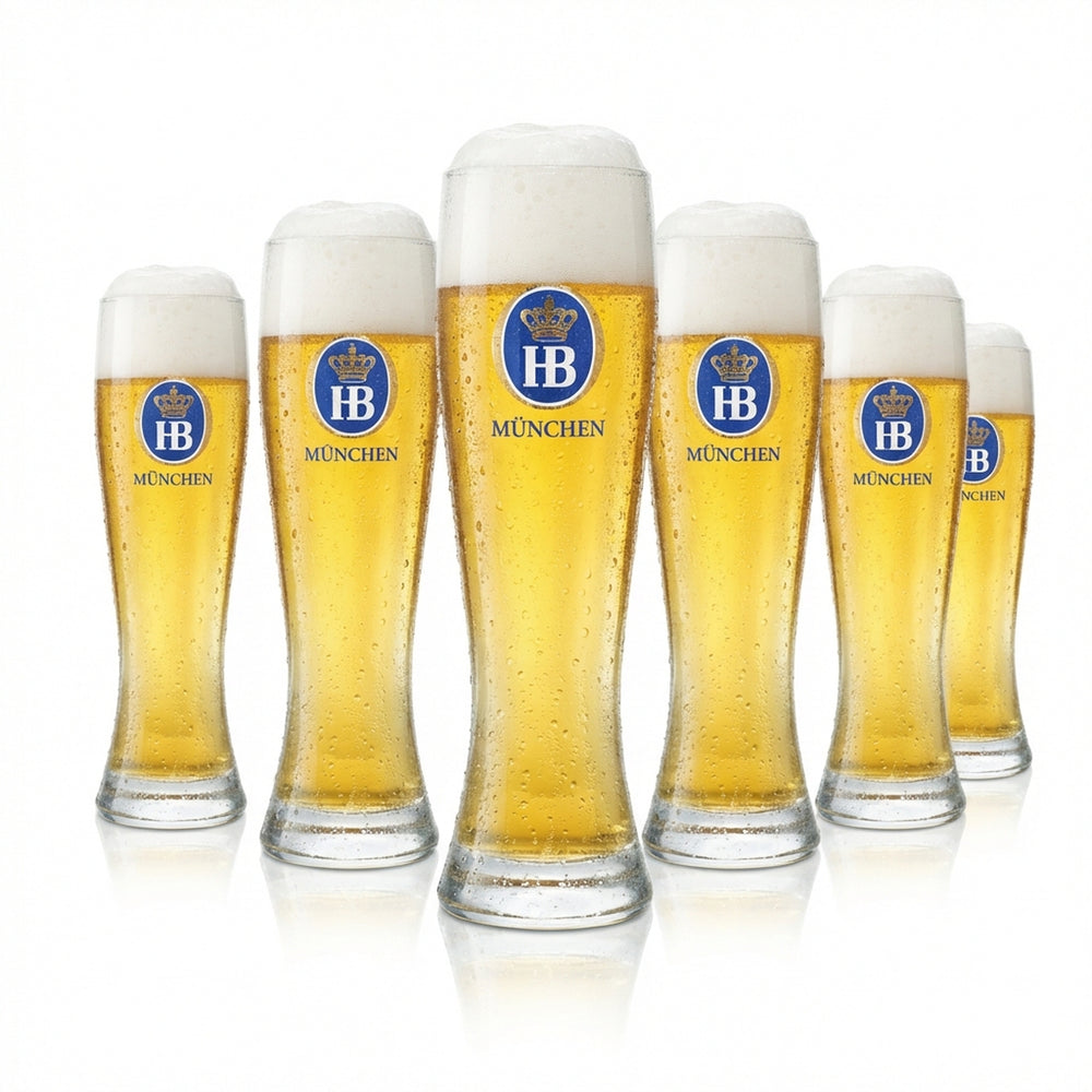 6x Hofbräu Munich Beer Glass 0.5l Yeast Wheat Beer Elegant Frosted Glasses