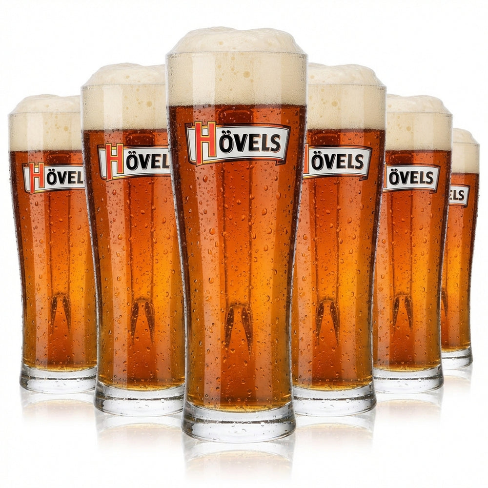 6x Hövels beer glass 0.3l glasses beer mug beer stein beer tankard conical Aspen