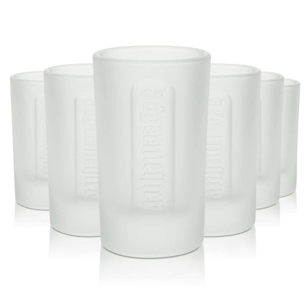6x Jägermeister shot glasses 4cl shot glasses Frosted Calibrated Gastro