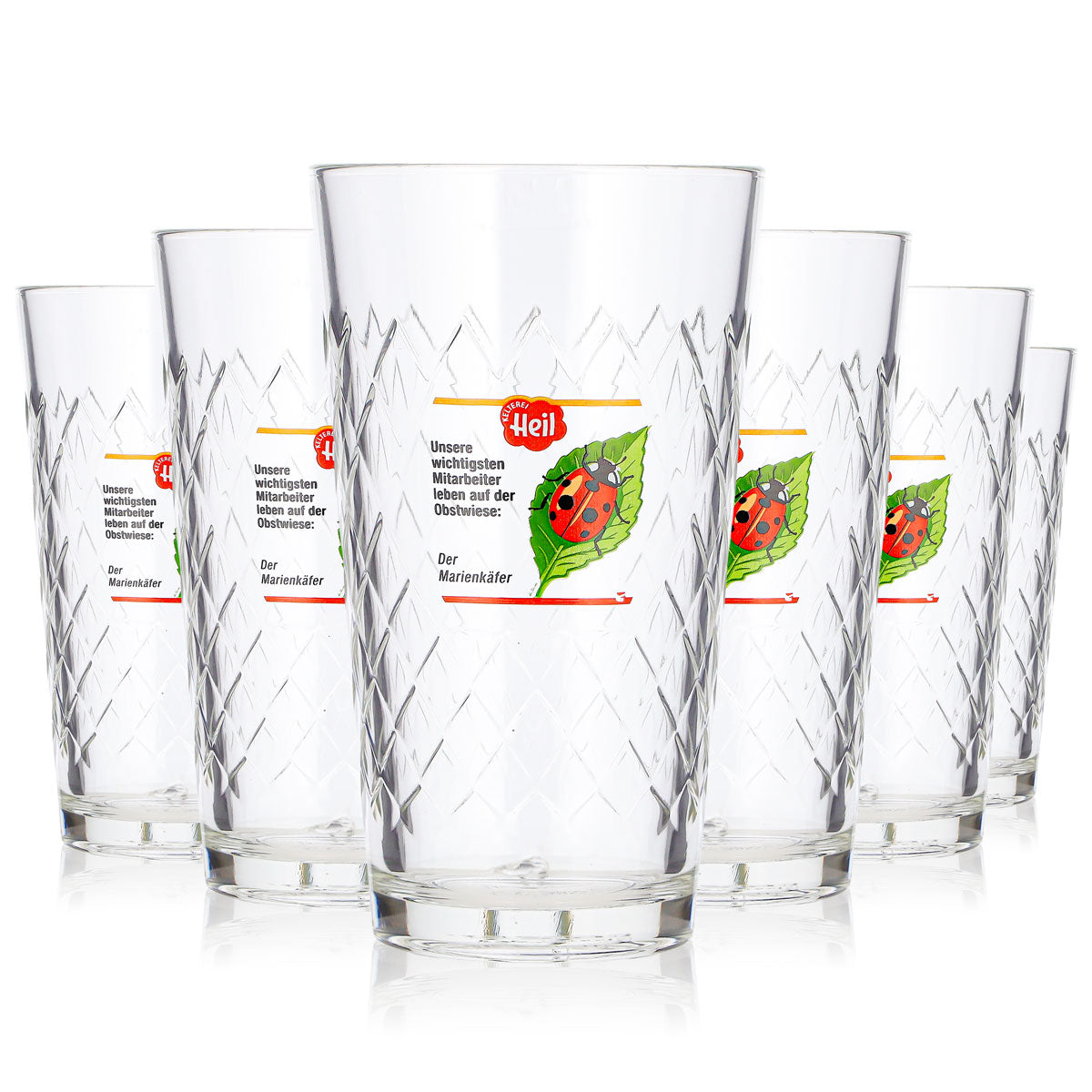 6x Kelterei Heil Apple Cider Glass, 0.25 L, Long Drink, Ladybug Leaf Logo (Set of 6)