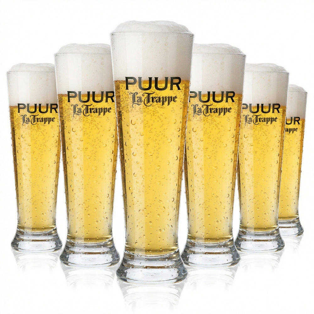 6x La Trappe Beer Glass Beer Glasses 0.3l Beer Glass Mug / Trophy PUUR