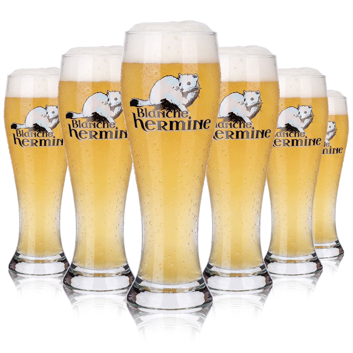 6 Lancelot Beer Glasses (25 cl) + 33 cl Blanche Hermine Goblet