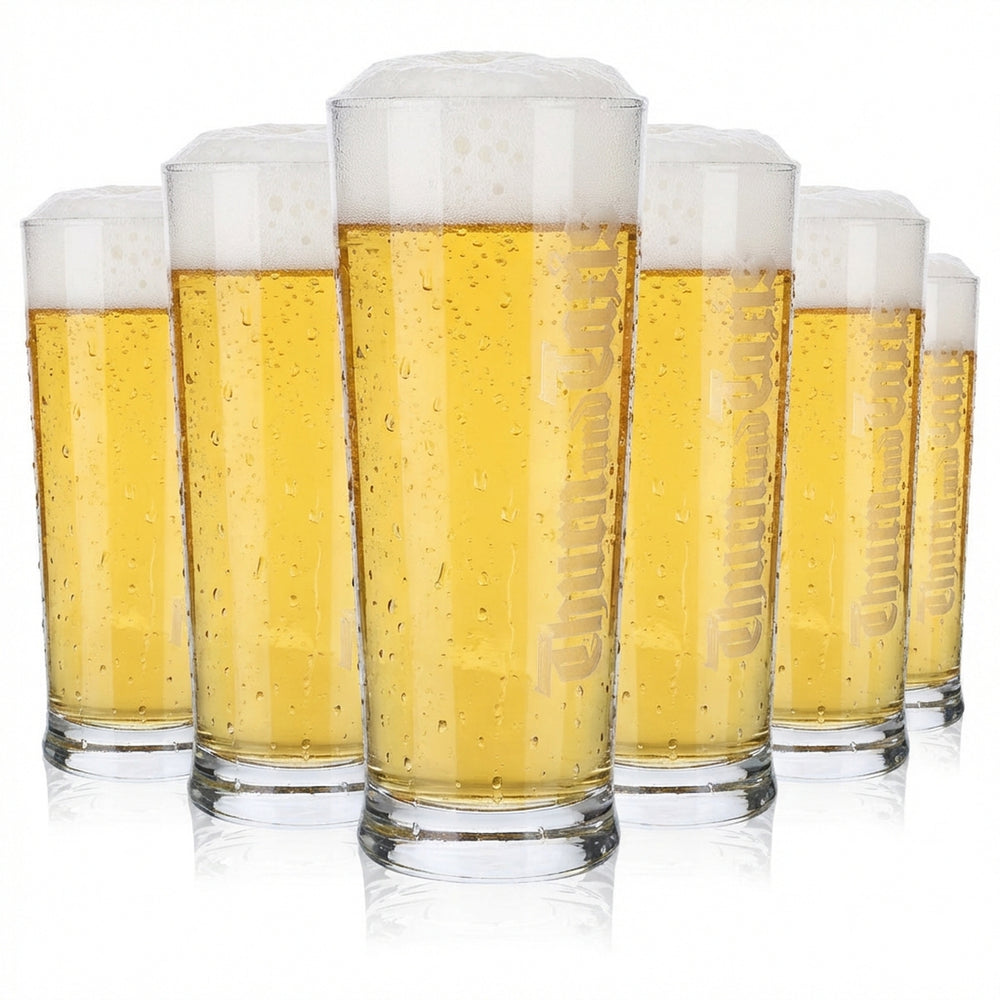 6x Thurn & Taxis beer glass mug 0.5l beer glasses beer mug logo vertical