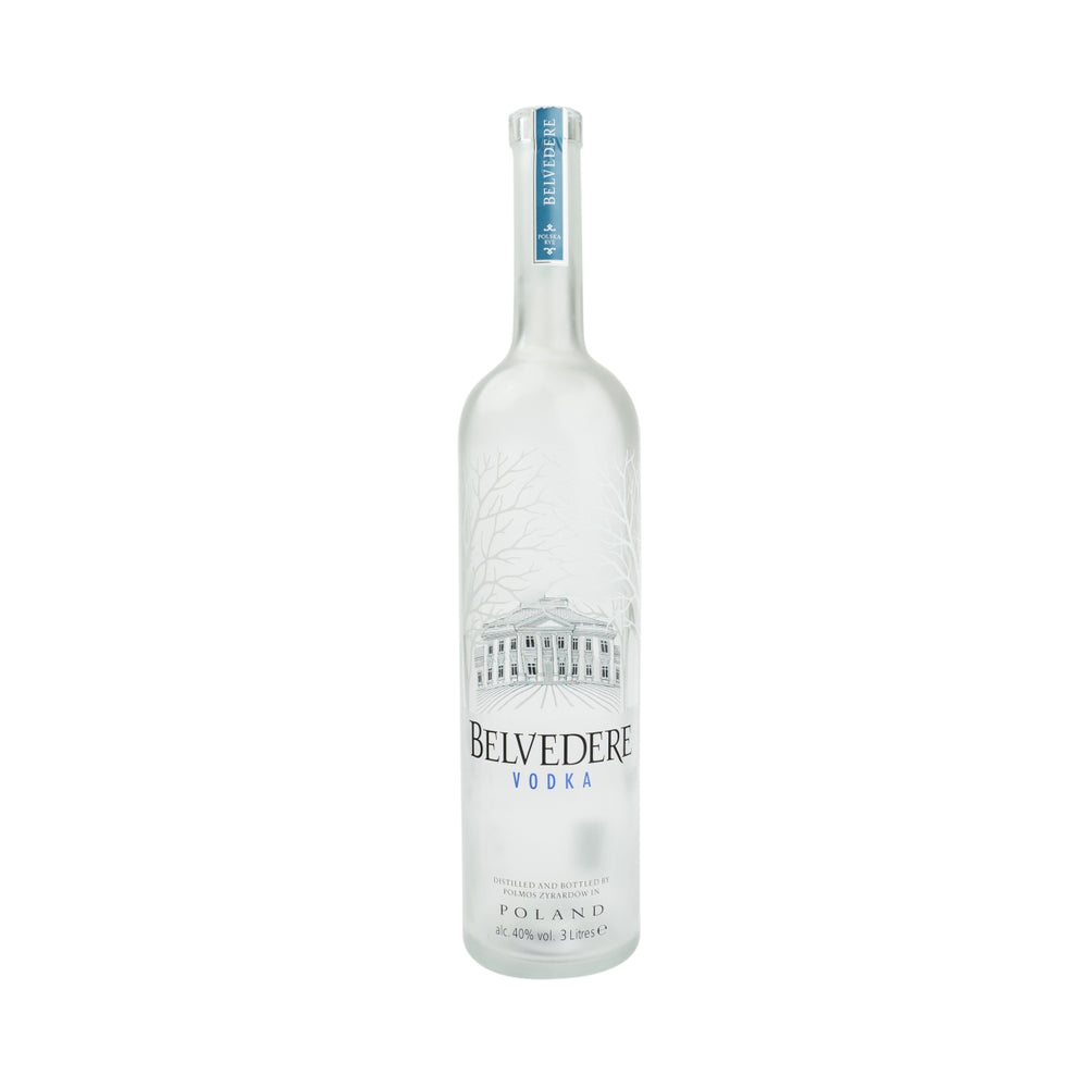 Belvedere Vodka 3l empty bottle with LED decorative lamp money box Empty Bottle Bar