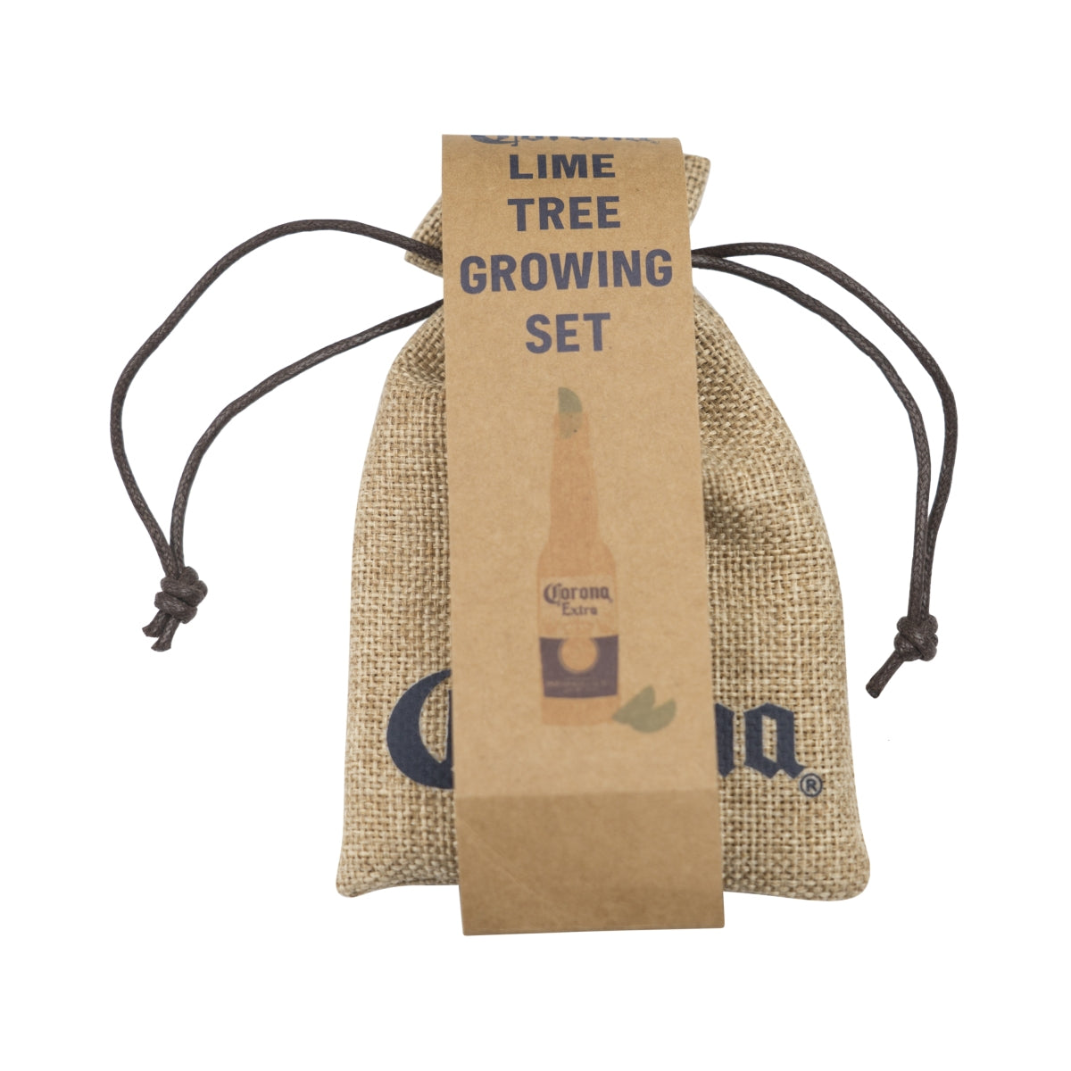 Corona Beer Grow Set Kit Seeds Lime Lime Tree Plant Beer Gift
