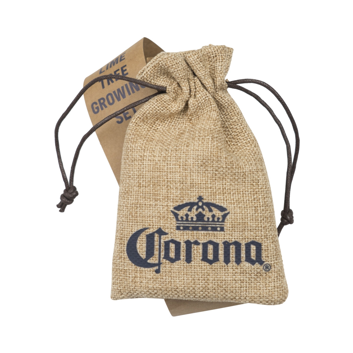 Corona Beer Grow Set Kit Seeds Lime Lime Tree Plant Beer Gift – View 2