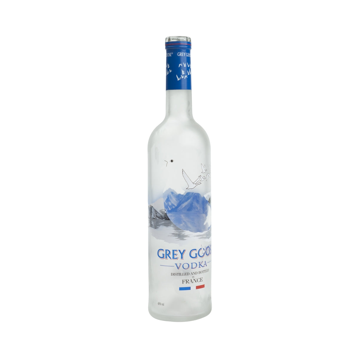 Grey Goose Vodka 0.7l empty bottle decorative lamp money box empty bottle bar dummy