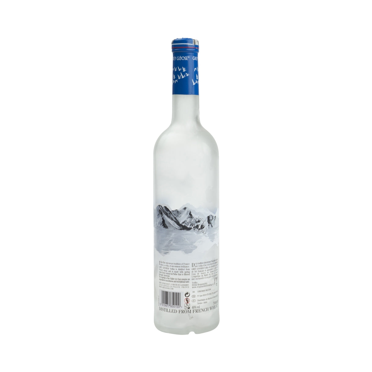 Grey Goose Vodka 0.7l empty bottle decorative lamp money box empty bottle bar dummy – View 2