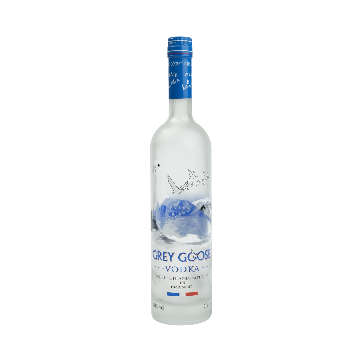 Grey Goose Vodka 0.7l Show Bottle EMPTY Dummy Display Decoration Bar Dummy Empty