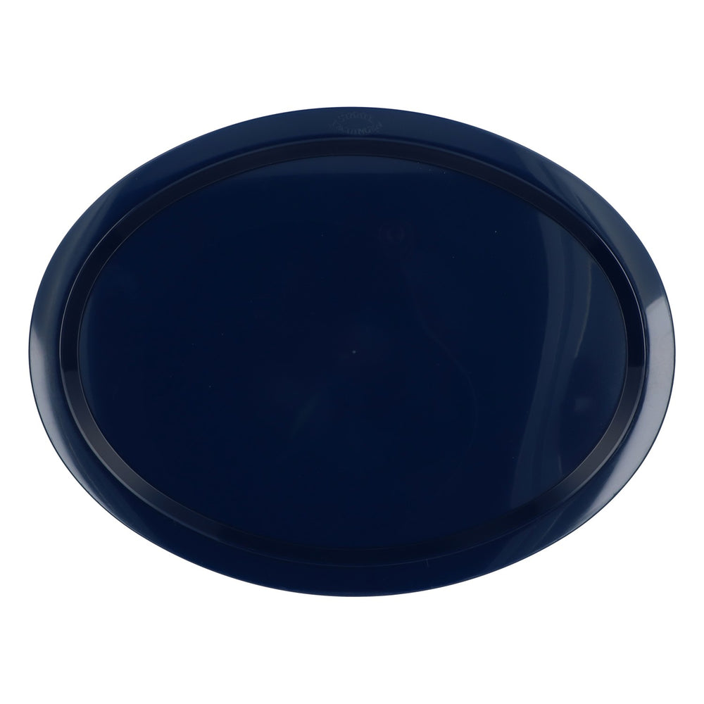 Staatl. Fachingen Water Serving Tray, Waiter's Tray, Blue Plastic
