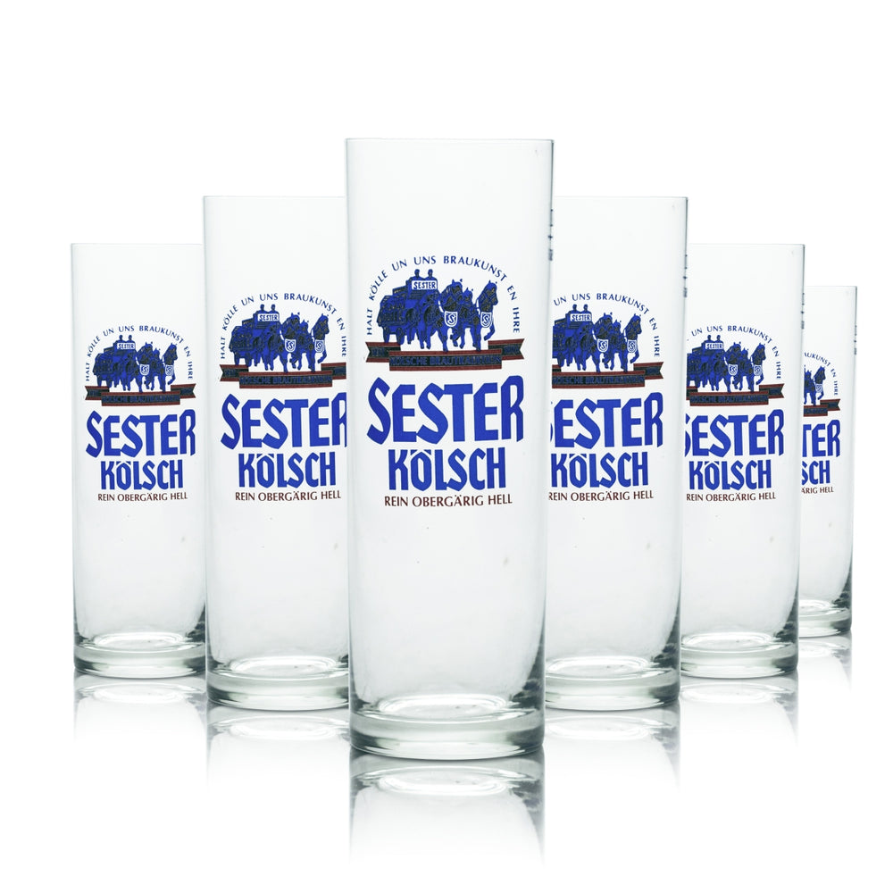 12x Sester Kölsch beer glass 0.2l tall glass light beer glasses brewery catering oak Alt