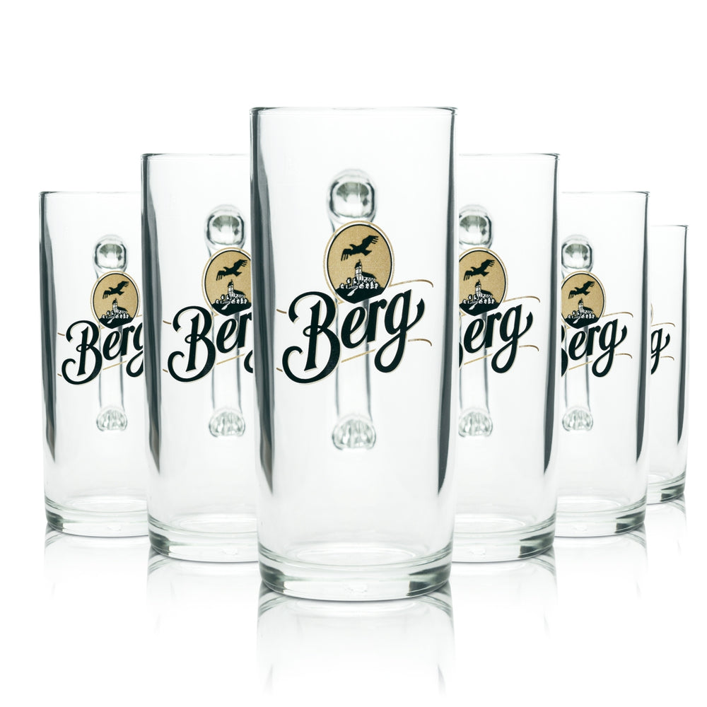 6x Berg Brewery Beer Glass 0.5l Mug Sahm Seidel Handle Glasses Mugs Tankards