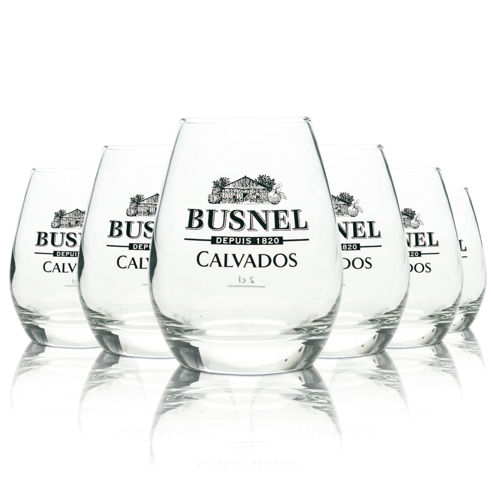 6x Busnel Calvados Glass 0.2l Tumbler Nosing Glasses Tasting Grappa Conical Oak