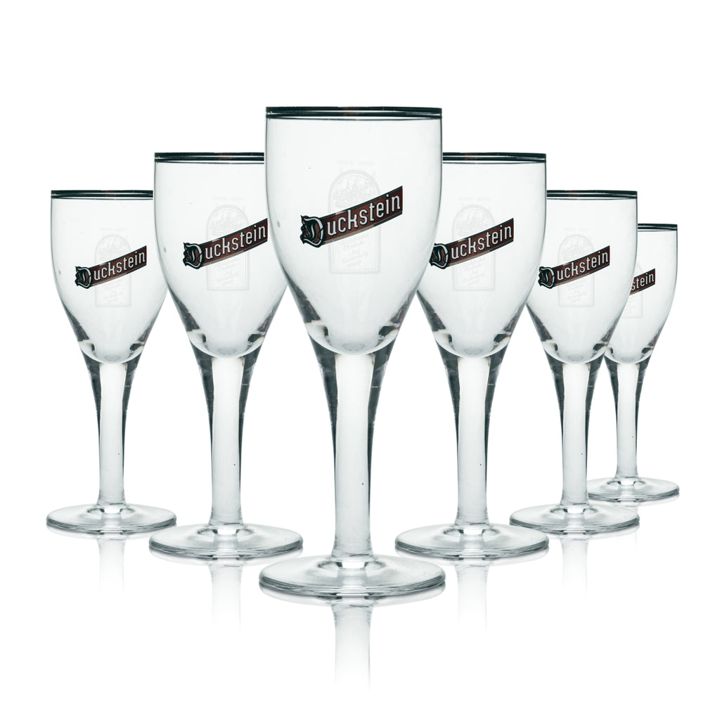 6x Duckstein Glass 0.2l Beer Tulip Cup Goblet Glasses Silver Rim Alt Weizen Pils