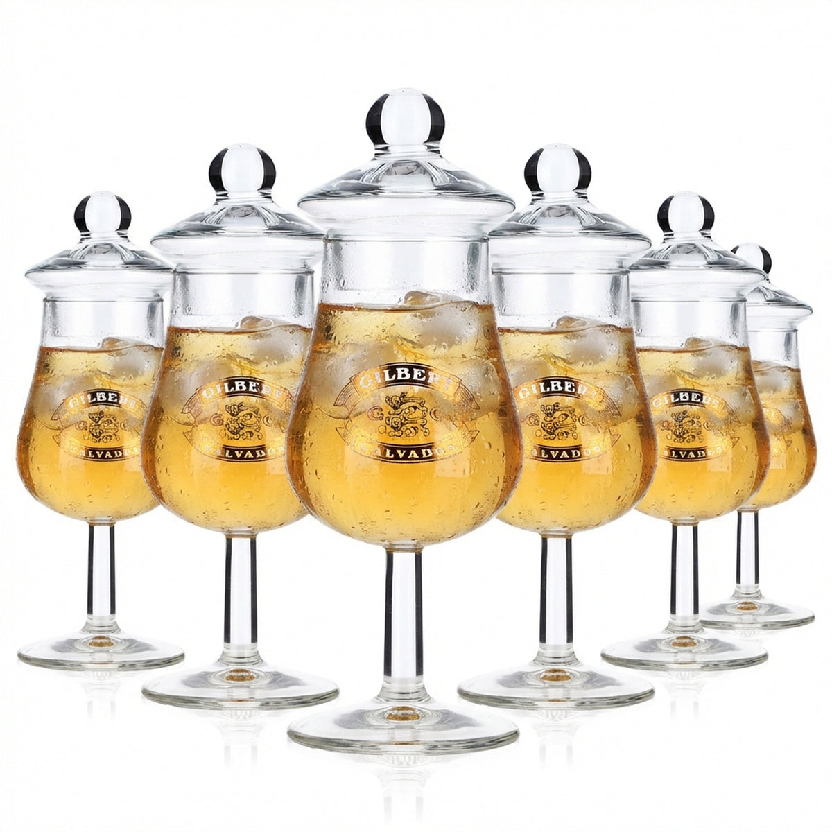 6x Gilbert Calvados Calvados Glasses Tasting Glass with Lid