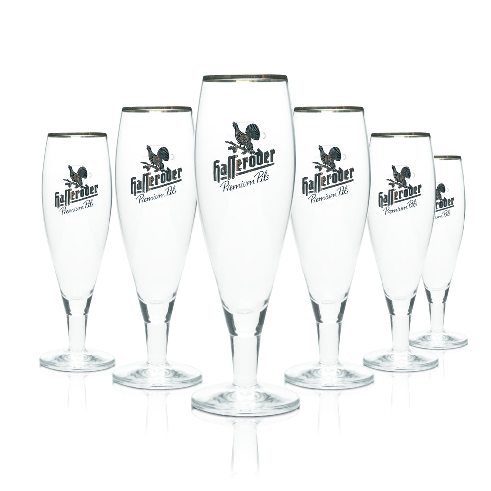 6x Hasseröder Beer Glass 0.3l Goblet Tulip Chalice Allegro Gold Rim Glasses Gastro
