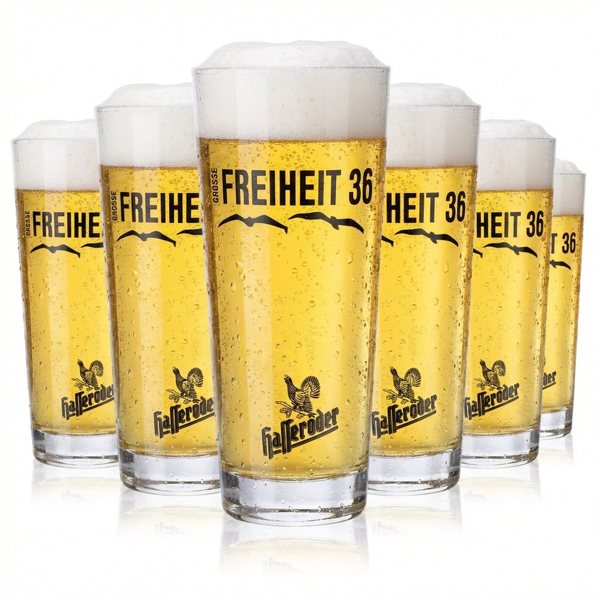6x Hasseröder beer glasses Beer glass 0.3l Willibecher Große Freiheit 36