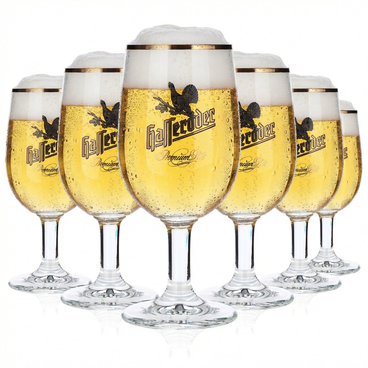 6x Hasseröder beer glass goblets, 0.2 l, gold rim, "Premium Pils," Ritzenhoff