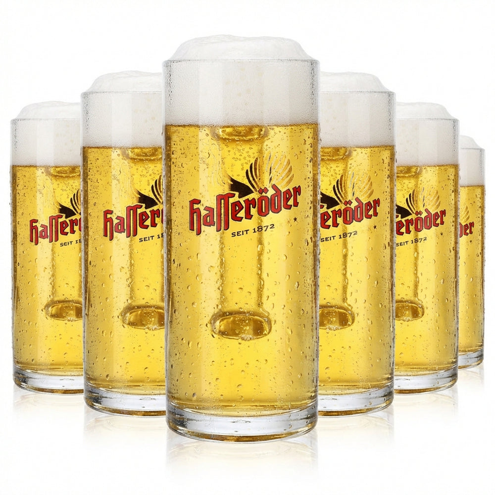 6x Hasseröder beer glass beer mug glasses tankard 0.3l jug Reno