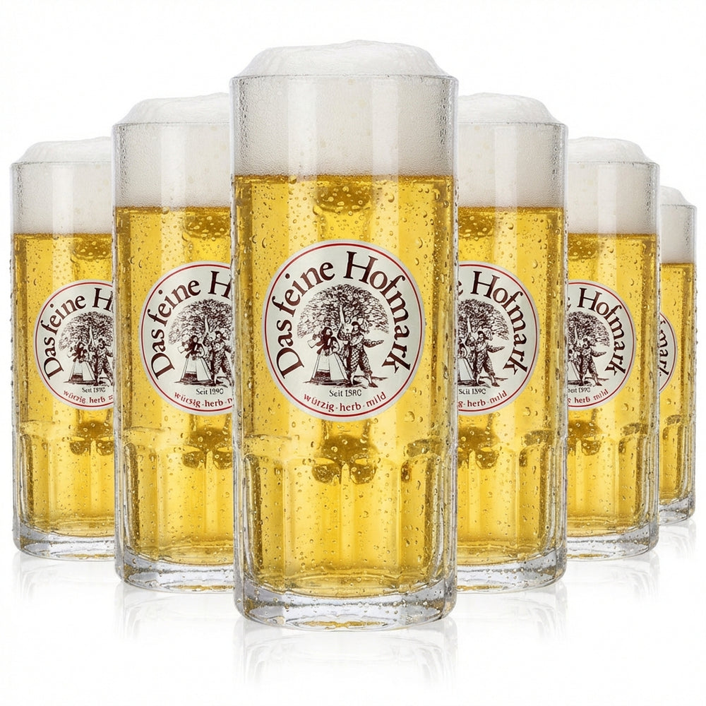 6x Hofmark glass 0.3l beer mug The fine Hofmark tankard mug glass set Brewery