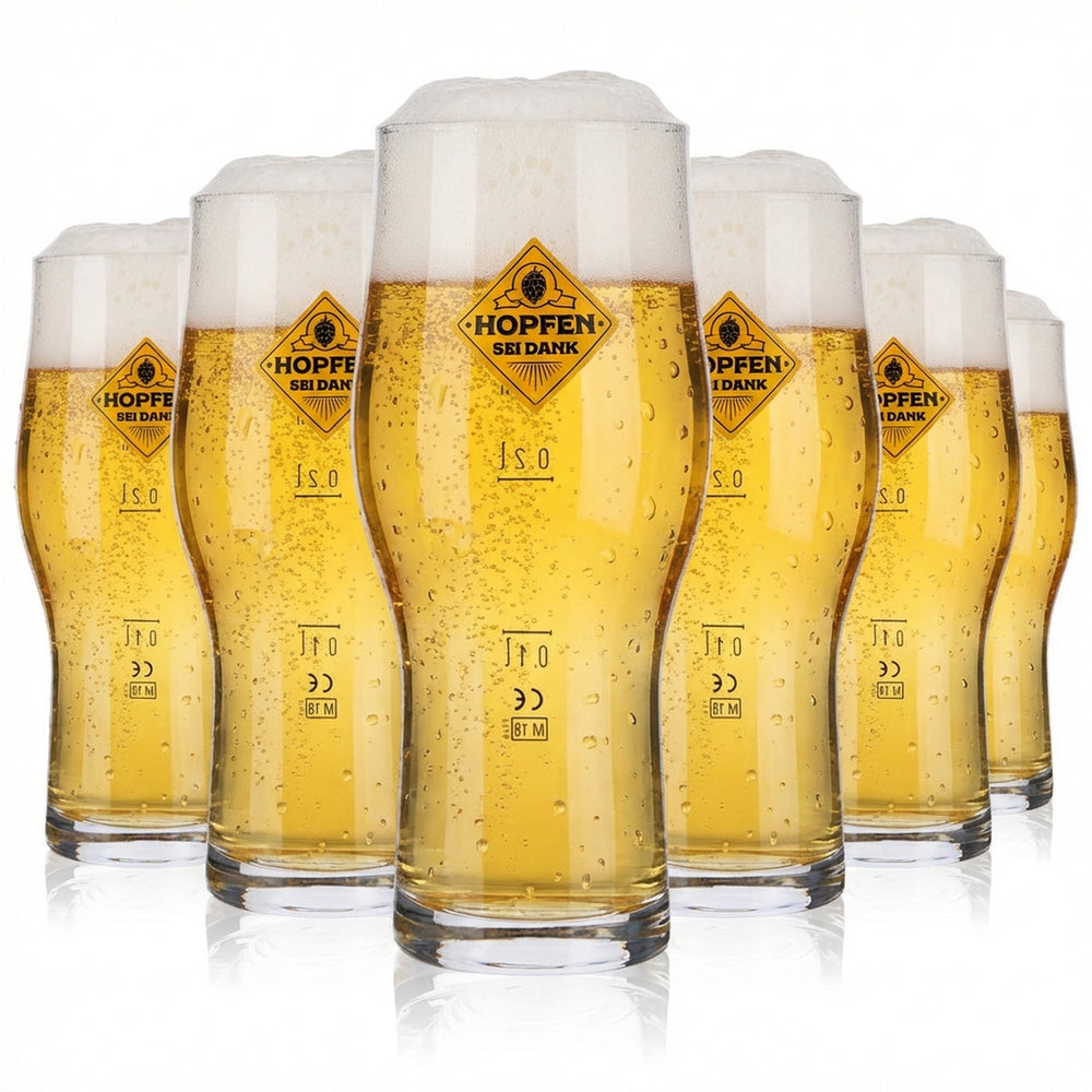 6x Hops Be Thankful Beer Glass 0.3l Tumbler Beer Glasses Craft Master Two