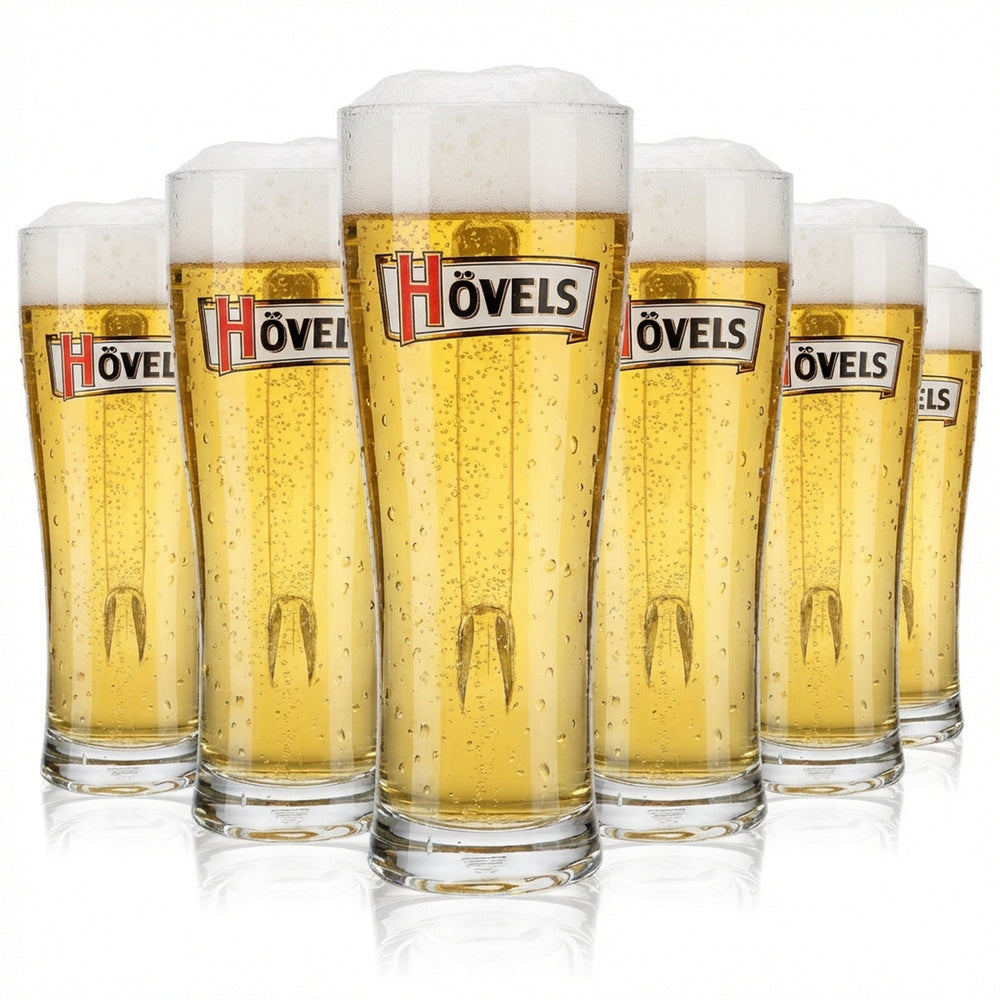 6x Hövels beer glass 0.5l beer mug beer stein beer tankard Aspen