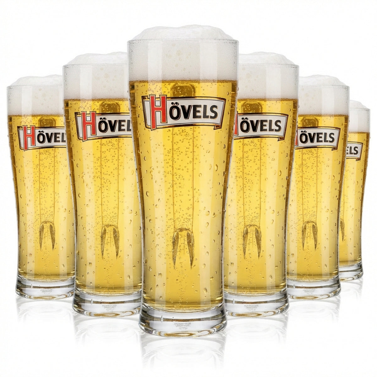 6x Hövels beer glass 0.5l beer mug beer stein beer tankard Aspen