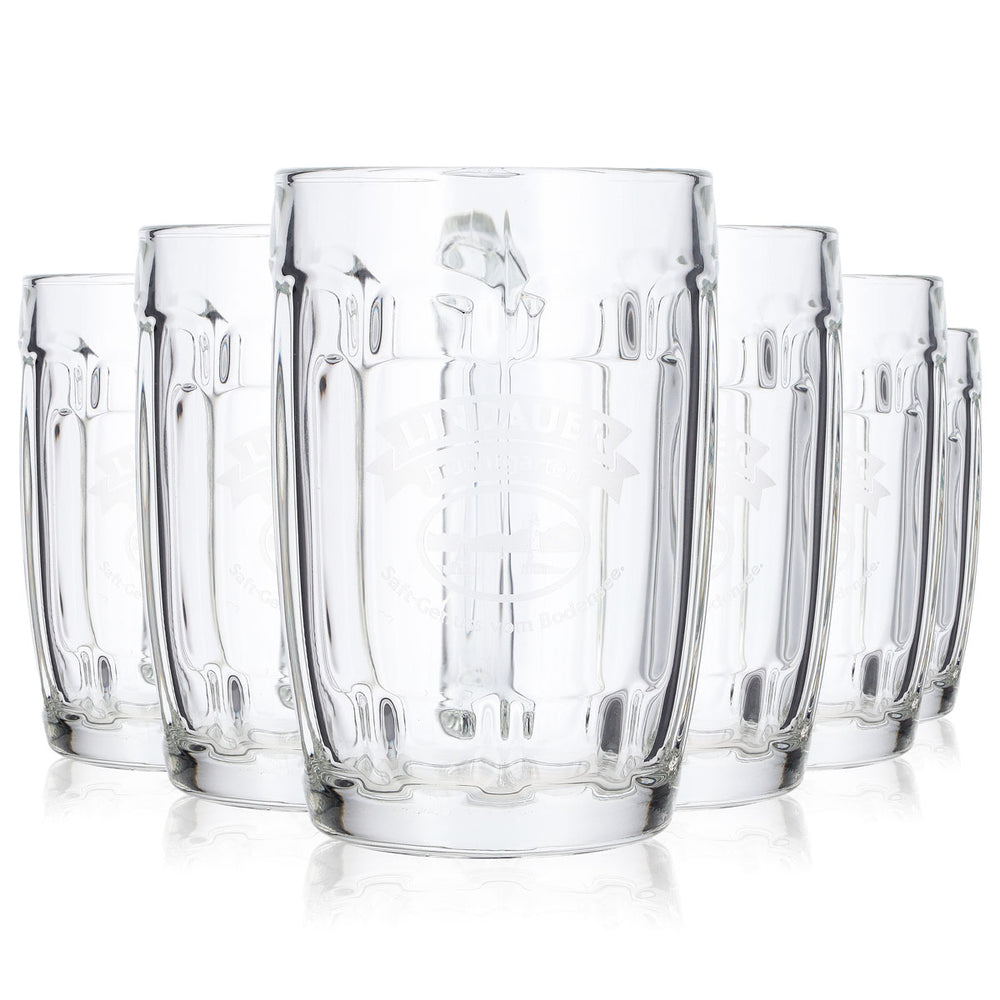 6 Lindauer Juice Glasses, 0.3 L, "Fruchtgarten Rastal" Juice Glass, Drinking Glass