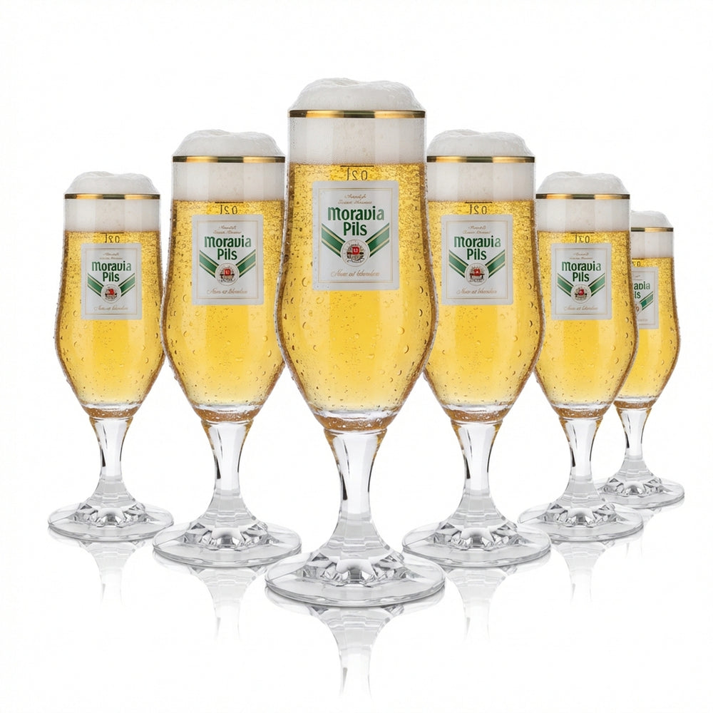 6x Moravia beer glass 0.2l goblet glass gold rim Hopfenperle Pils glasses set brewery