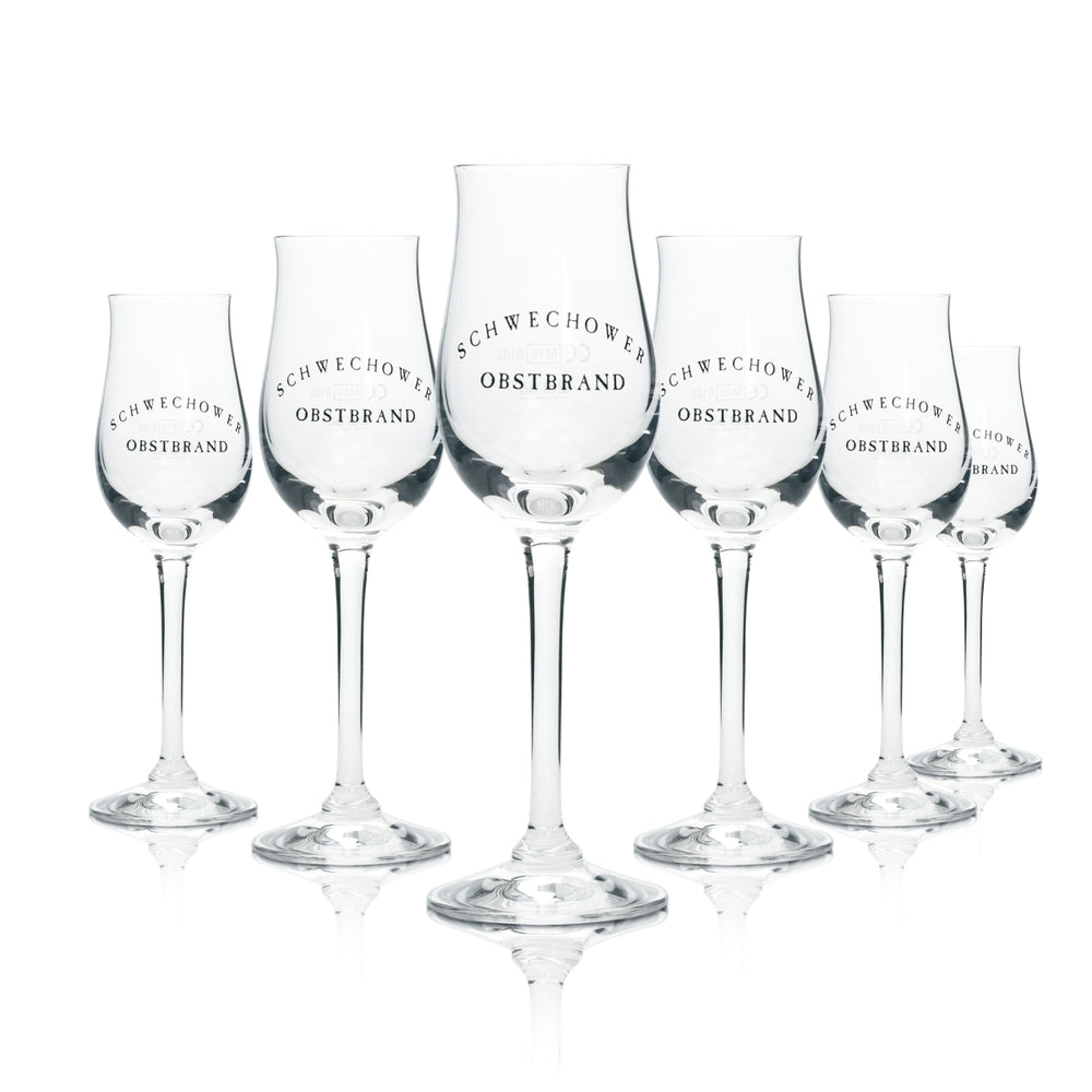 6x Schwechower fruit brandy glass nosing 2cl short glasses shot tasting sommelier