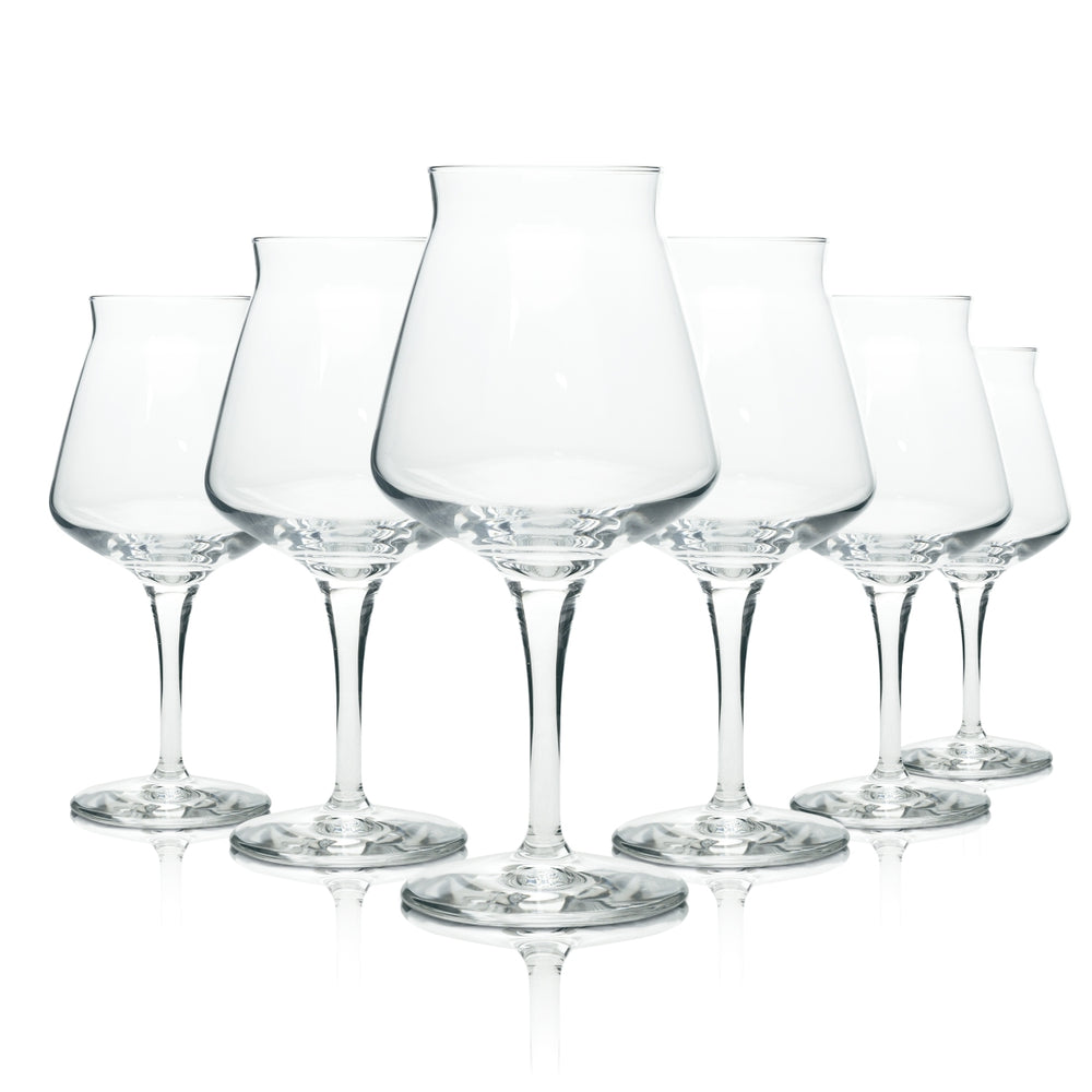 6x Teku beer glass 0.4l goblet 3.0 Rastal craft beer tasting glass sommelier glasses