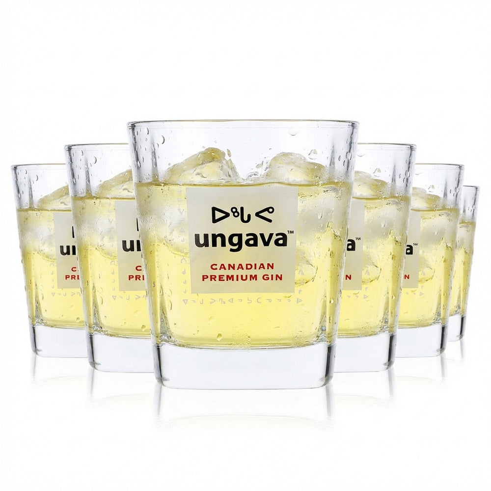 6x Ungava Gin Glass Gin Glasses Gin and Tonic Glasses 0.3l Tumblers