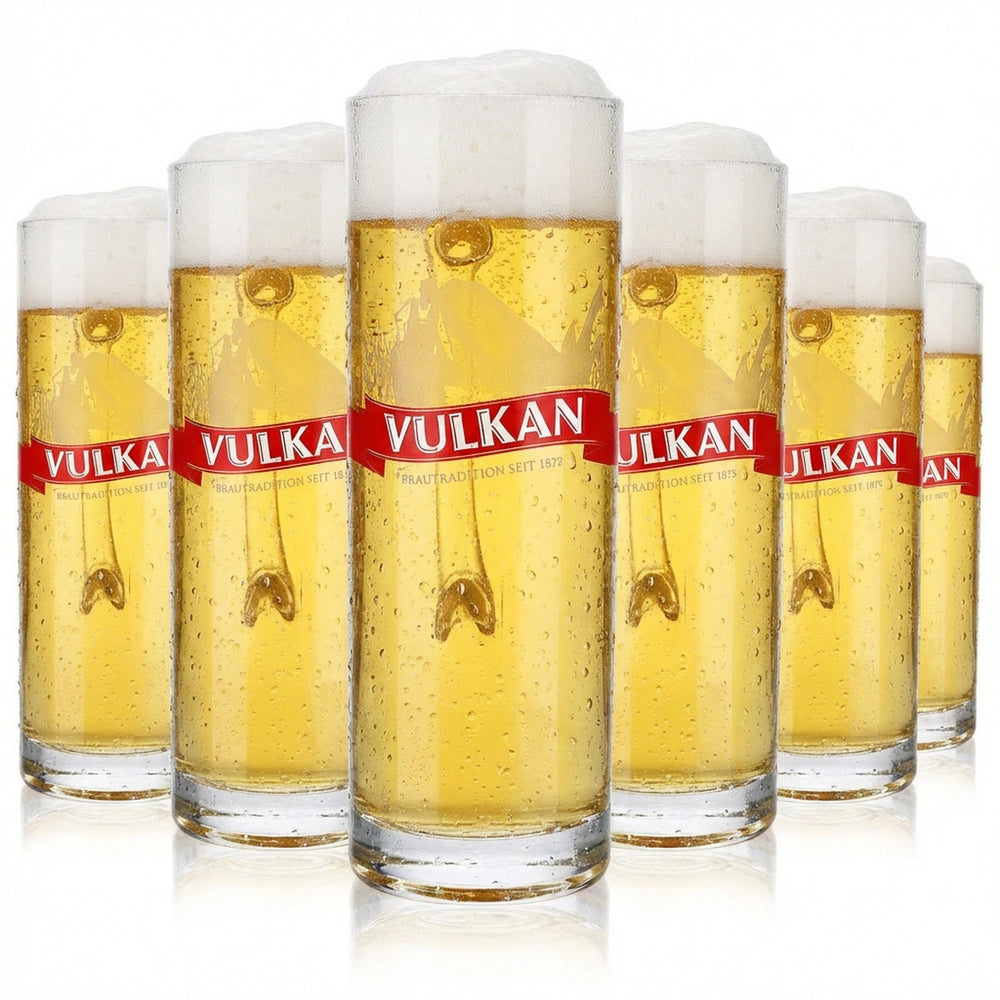 6x Vulkanbräu beer glass 0.3l mug beer stein beer mug Dallas