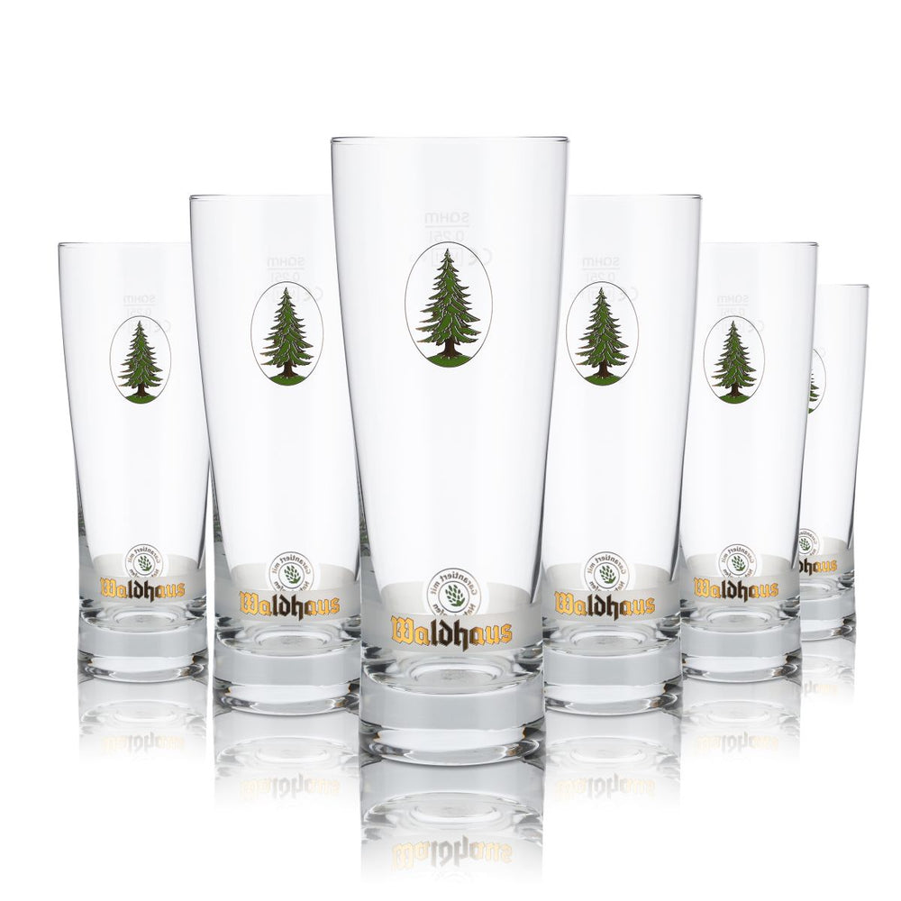 6x Waldhaus Glass 0.25l Beer Glass Goblet Glass Tumbler Glass Set Brewery Gastro