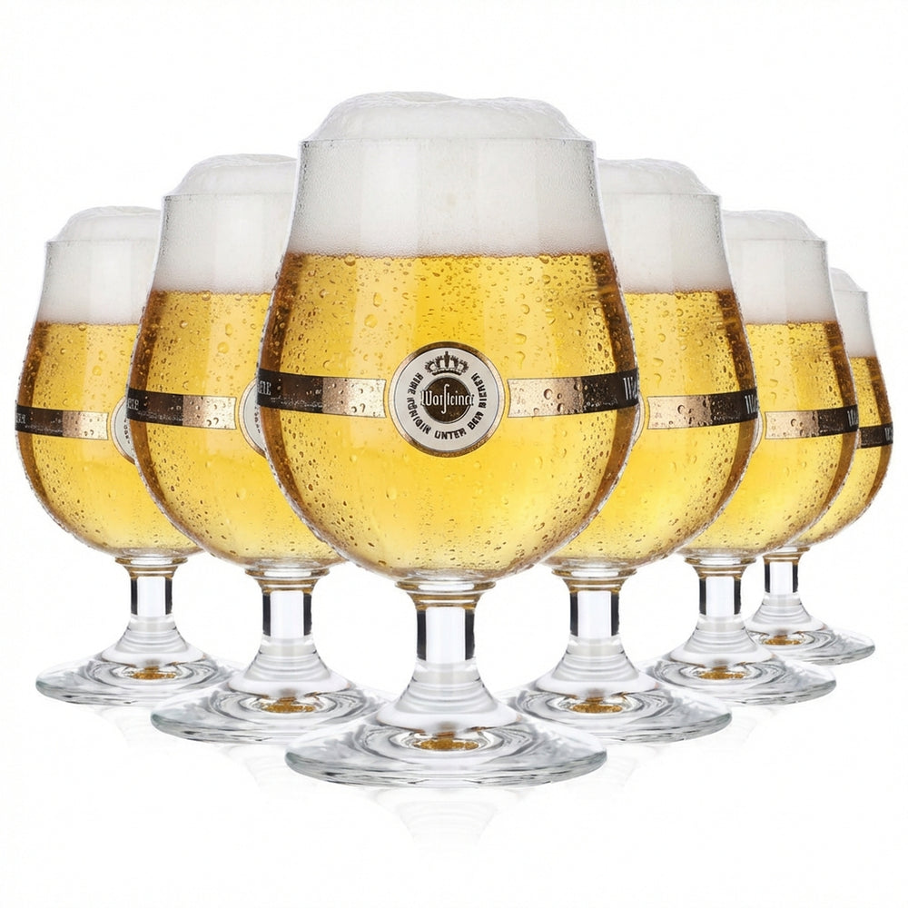 6x Warsteiner beer glass 0.25l Beer glasses Pokal Ritzenhof Bistrol Schwenker curved