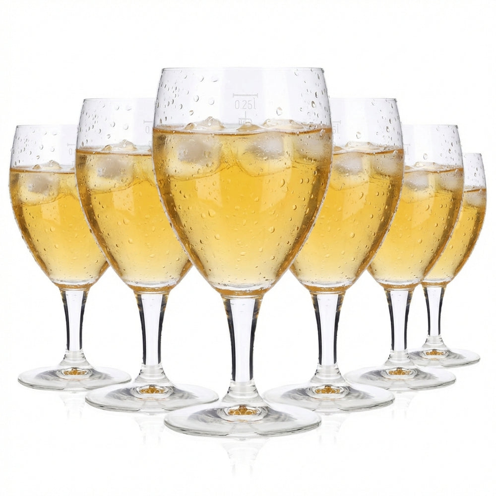 6x Water Glass Water Glasses Soft Drink Glasses 0.25l Goblet  Castel