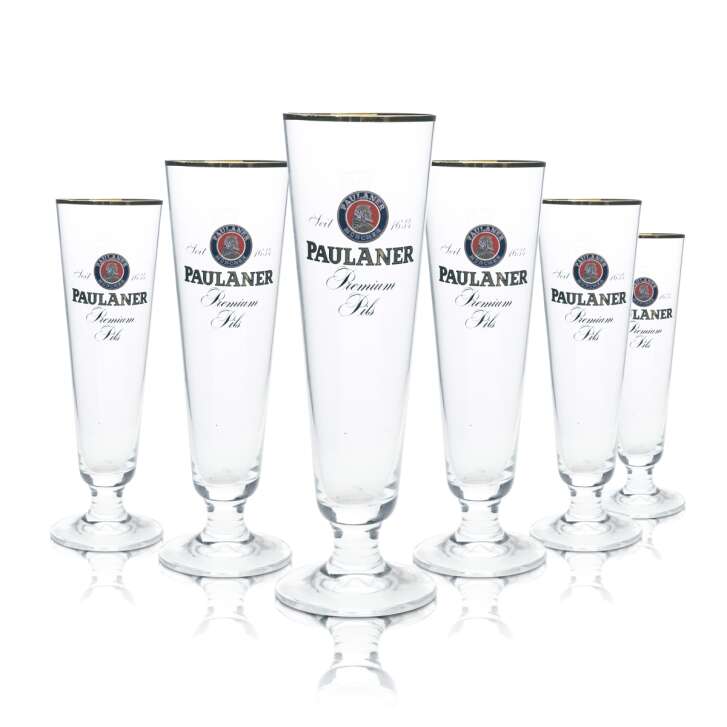 6x Paulaner beer glass 0,25l goblet tulip gold rim glasses pilsner gastro brewery bar