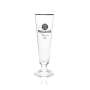 6x Paulaner beer glass 0,25l goblet tulip gold rim glasses pilsner gastro brewery bar